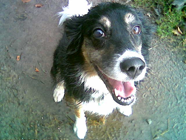 4ECC7BBA-FAAA-4130-8057-78854267D8FC